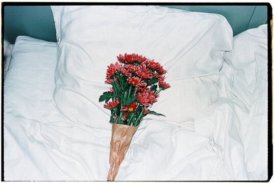 wrapped chrysanthemums lie across white bedding, 35mm film
