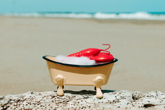 a close-up of a bathtub with a red lobster on an empty beach