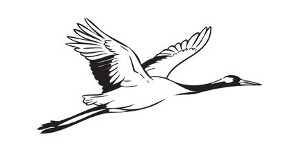 Fototapeta premium Black and white flying crane vector illustration, bird in flight, wildlife icon, elegant animal design