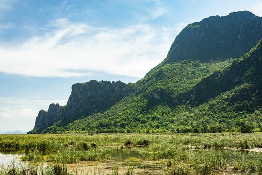 Thung Sam Roi Yot Freshwater Marsh in Khao Sam Roi Yot National Park, Prachuap Khiri Khan Province, Thailand.