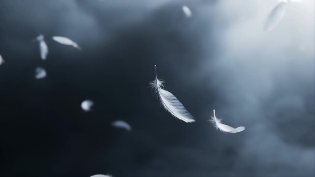 Feathers Floating in Dark Cloudy Sky with Light Rays Featuring Drifting, Soft, Ethereal with Airy and Delicate Elements for Nature, Abstract