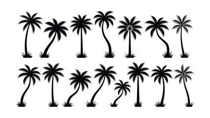 Fototapeta premium Set of black palm tree silhouettes on white background