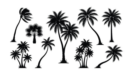 Fototapeta premium Set of black palm tree silhouettes on white background