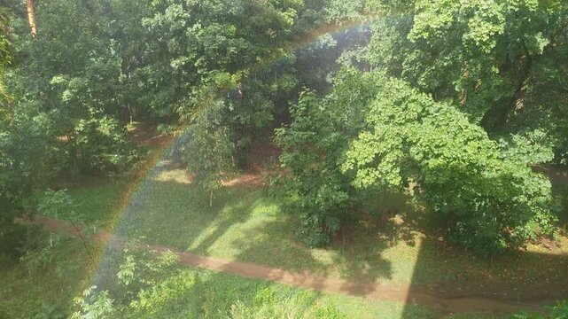 In the city park, dirt paths are trampled among the trees, shrubs and grassy lawns. On a warm summer day, the sun is shining and it is raining at the same time. This creates a rainbow and puddles