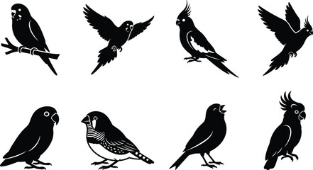 Set of pet bird silhouette icons featuring parrots, cockatiels, finches, and exotic avian species © MstLata