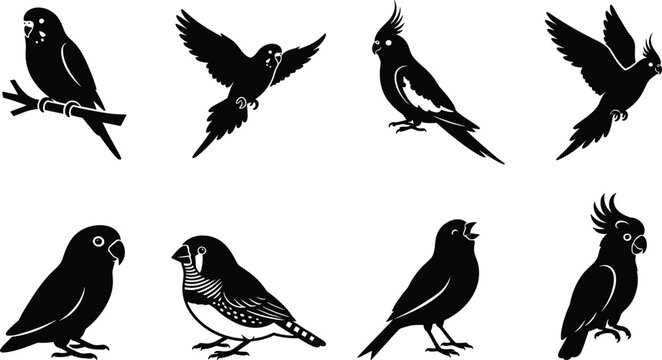 Set of pet bird silhouette icons featuring parrots, cockatiels, finches, and exotic avian species