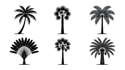 Six different types of palm tree silhouettes on white background © Sirin