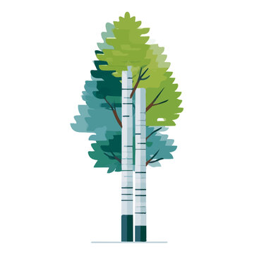 Clean flat 2D illustration of Aspen Tree, simple contemporary design, isolated on a white background.