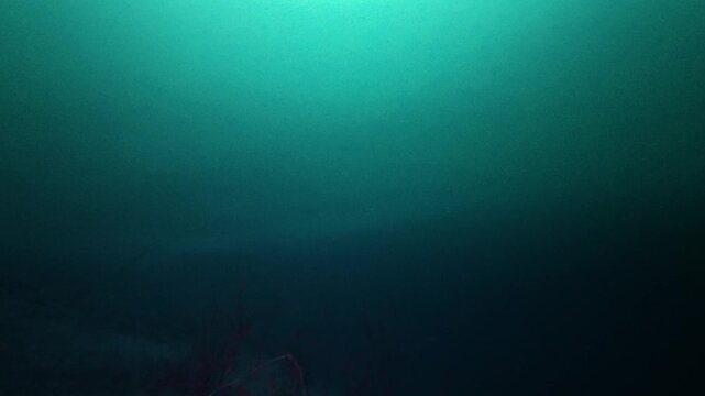 Point of view of a scuba diver swimming through a dark underwater cenote cave in mexico