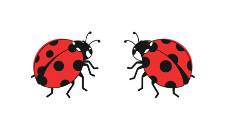 Fototapeta premium Two cute cartoon ladybugs facing each other isolated on white background representing love and friendship.