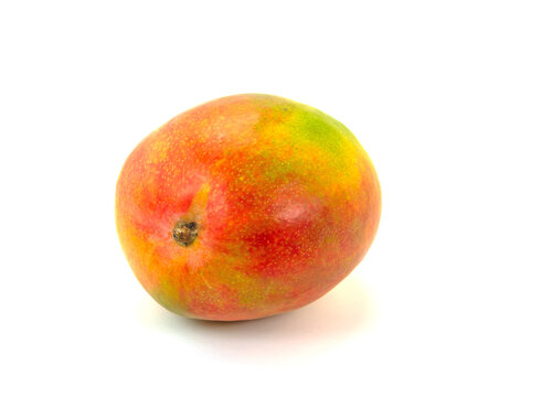 Mango, Mangifera indica, vor wei&szlig;em Hintergrund