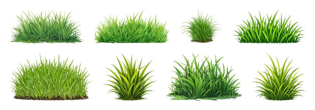 PNG Lush green grass illustrations variety on transparent background