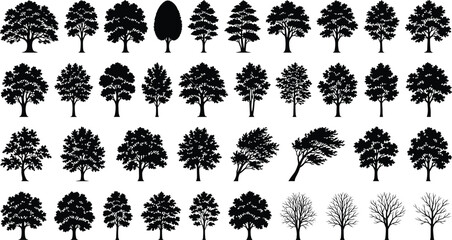 Collection of diverse tree silhouettes featuring rounded canopies, tall narrow forms, bent trunks, and leafless branches for design and study © MstMostarina