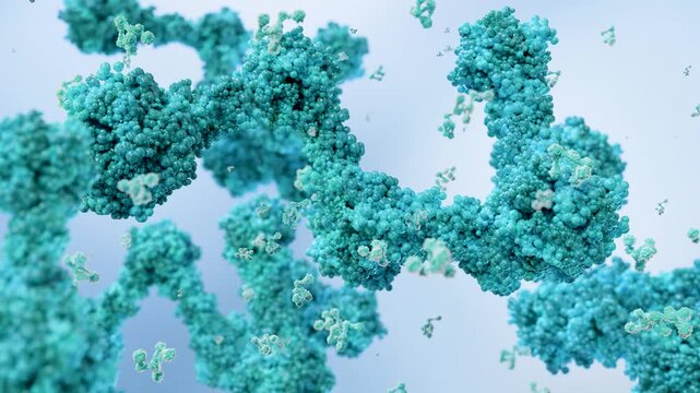 antibodies or immunoglobulin protein or enzyme Molecular structure, Chain of amino acids, biological concept, chemistry and biochemistry, DNA proteins, hydroxyproline, closeups formation, 3d render
