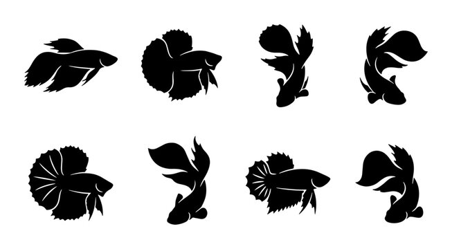 Betta Fish Silhouettes, Siamese Fighting Fish Vector Icons, Aquatic Pet Collection