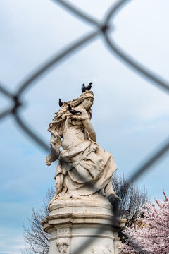 Lorelei Fountain Statue with Pigeons Behind Chain-Link Fence, Bronx NYC