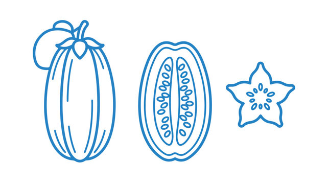 Babaco fruit line art vector, mountain papaya whole and sliced cross section, tropical fruit outline icons for botanical design