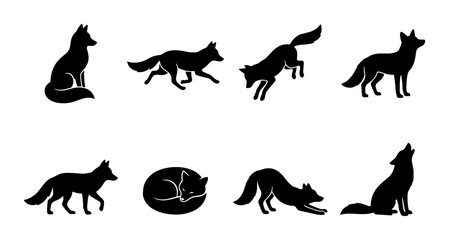 Obraz premium Fox Silhouettes Collection: Dynamic Poses, Wild Animal Vector Icons for Nature and Wildlife Designs
