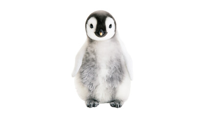 Fluffy baby emperor penguin chick soft plush toy, isolated on transparent background © Nicolae
