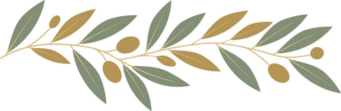A decorative olive branch pattern with golden olives stretches across a white background.  Vector illustration