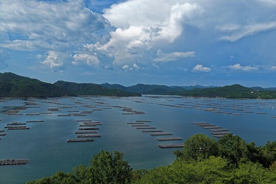 Aerial drone photo of oyster farming rafts on calm bay in Oku, Setouchi, Japan