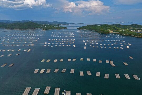 Aerial drone photo of oyster farming rafts on the Seto Inland Sea, Oku, Setouchi, Japan