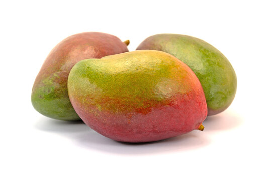 Mangos, Mangifera indica, vor wei&szlig;em Hintergrund