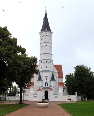 Obraz premium Cathedral of Saints Peter and Paul in Siauliai, Lithuania