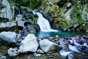 Pieniny