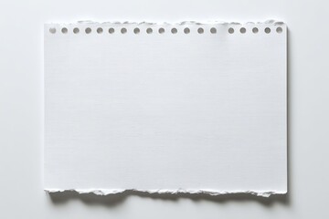 Fototapeta premium Blank torn notebook paper sheet