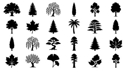 Tree Icons Set: Black Silhouette Vector Collection © Enamul