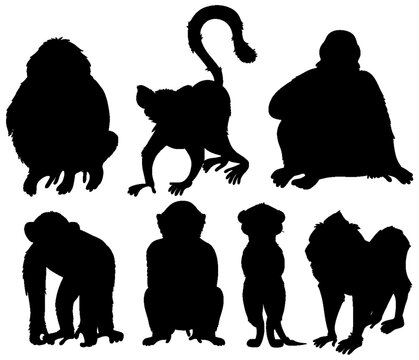 Monkey Silhouette Collection with Different Primate Poses