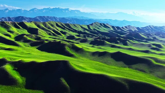 Aerial view of rolling green grass hills and distant snow-capped mountains under a clear blue sky, Xinjiang, China.