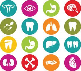 Fototapeta premium Medical Anatomy Icon Set with Colorful Circular Buttons Representing Human Internal Organs for Hospital Healthcare Clinic and Clinic Website Interface Designs