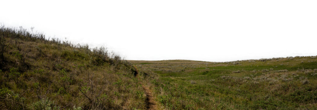 Panorama of prairie park scenery with short brown grass and a transparent sky. There are no trees.
