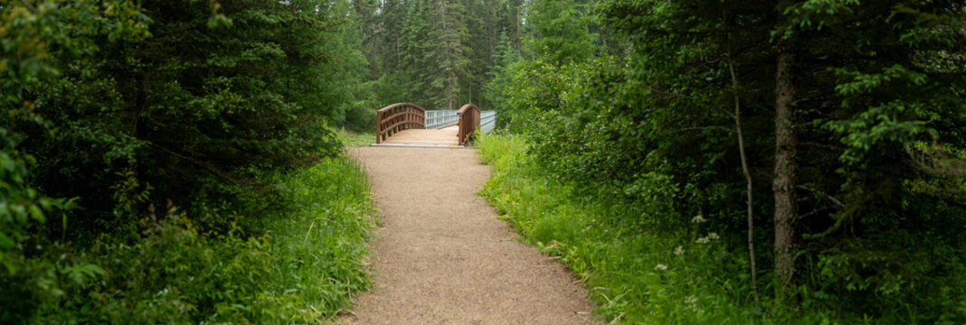 View down a gravel walking path towards a metal bridge. The path is surrounded by lush northern vegetation
