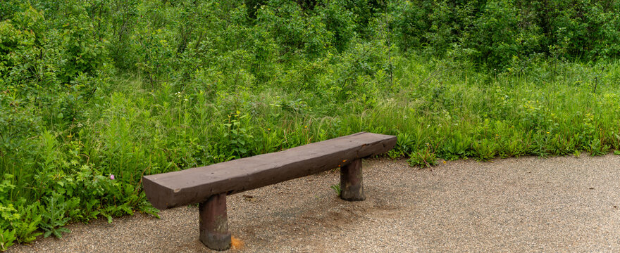 A rustic wooden park bench on a gravel park walking path with green foliage and a few wildflowers
