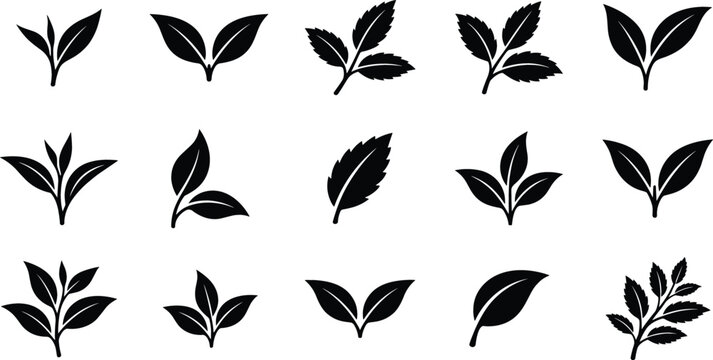 Green tea plant leaves black silhouette icons collection set for organic beverage packaging or botanical design projects