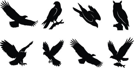 Fototapeta premium WebMajestic Bird of Prey Silhouette Vector Set with Eagles Hawks and Owl Isolated Collection