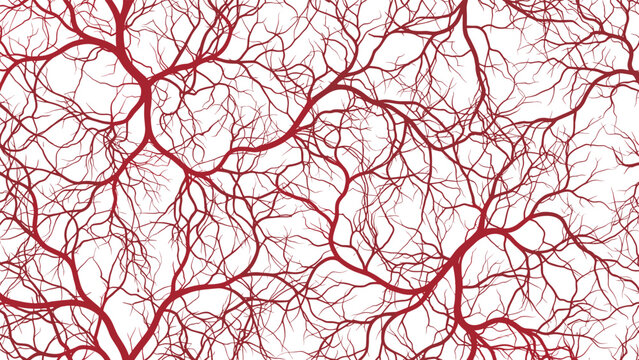 Complex red branching network pattern resembling human blood vessels or intricate tree root systems on a white background.
