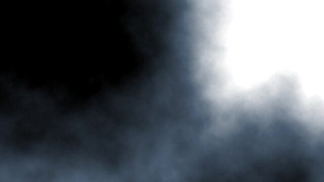 flying particles of organic dust on a black and white background abstract clawing background with multicolored blurred gradients moving on dark 