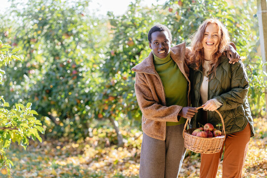 Joyful diverse female friends celebrating fresh apple harvest in sunny autumn orchard