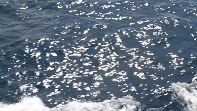 フェリーでの航海
