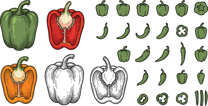 Hand drawn bell pepper sketch icons set featuring whole cut half sliced green chili paprika vector elements