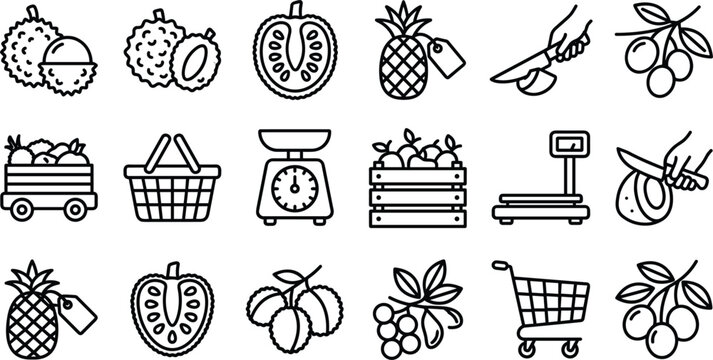 Tropical fruit line icons set featuring rambutan lychee soursop pineapple scales basket cutting and market shopping elements