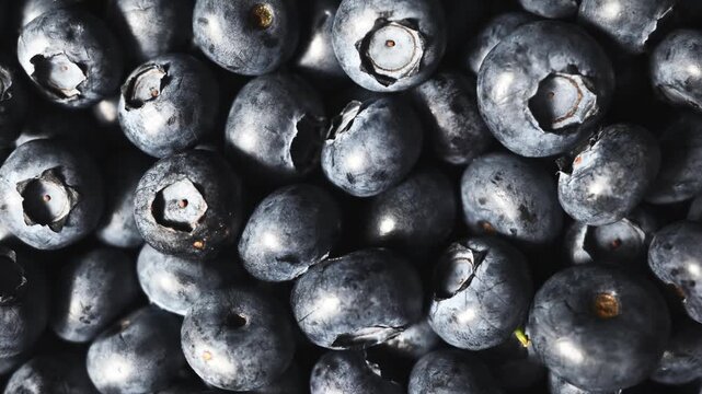 Fresh Blueberry Texture Background, Ripe Organic Berry