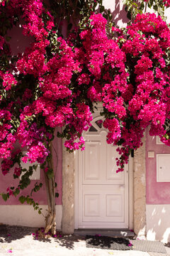 bright pink bougainvillea covering a traditional pink architectural building in Lisbon, Portugal