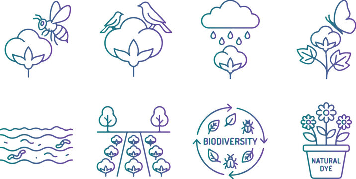 Bee on cotton, birds on cotton plant, rain on cotton cloud, butterfly on cotton flower, water stream, cotton field, biodiversity, potted flowers.