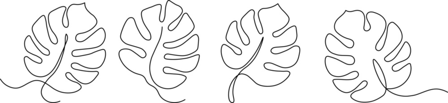 Minimal one line monster leaf collection with elegant tropical botanical outlines. Modern continuous line art creates stylish organic plant illustrations. Perfect for logos, branding, wall art, 