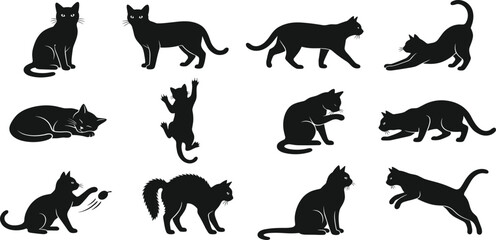 Fototapeta premium Cat Silhouette Collection Featuring Sitting Walking Playing Stretching Jumping and Sleeping Domestic Feline Black Vector Illustration Set